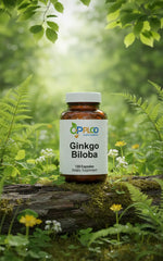 Ooploo Ginkgo Biloba Extract 500mg - 240 Vegetarian Capsules Ooploo